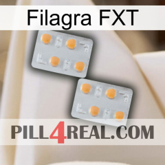 Filagra FXT 25